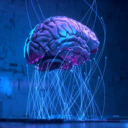 COMPUTAÇÃO E TECNOLOGIAS DA INFORMAÇÃO E COMUNICAÇÃO (TIC)